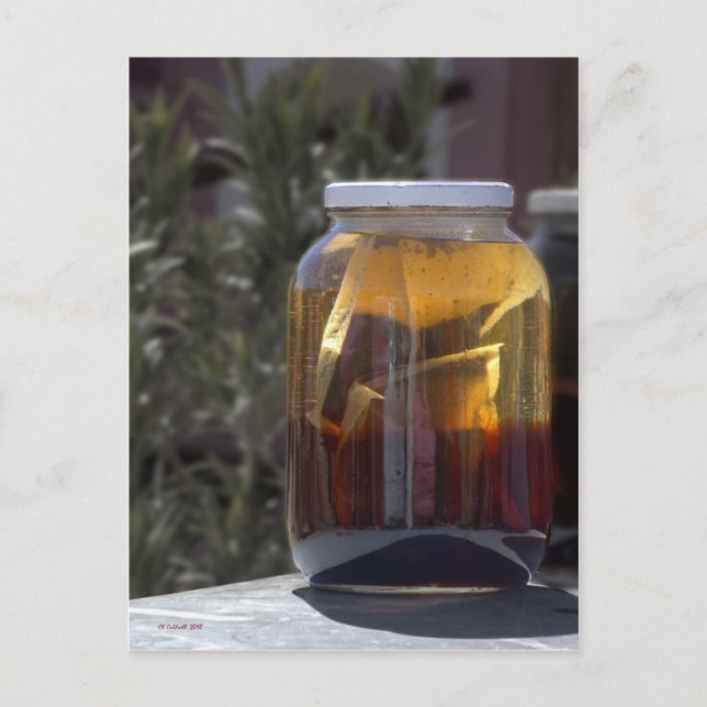 Postal El té Kosmic Kowgirl de Kathy (Anverso)