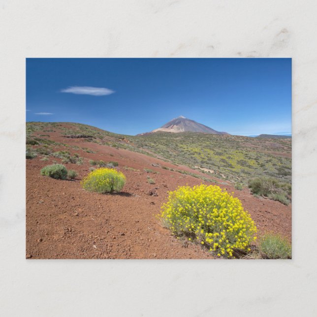 Postal El Teide en primavera (Anverso)