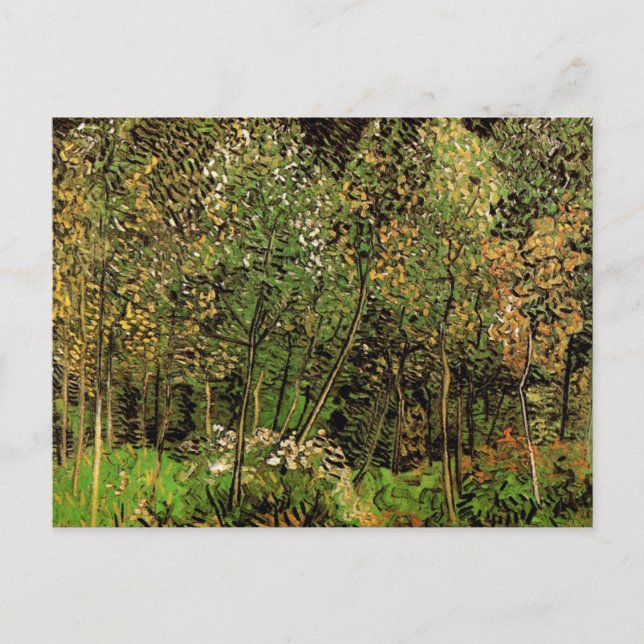 Postal El terreno de Vincent van Gogh (Anverso)