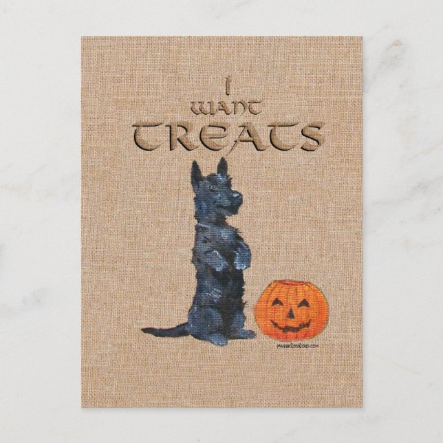 Postal ¡El Terrier Escocés se prepara para los tratamient (Anverso)