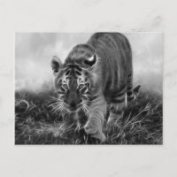 El tigre bebé acosando en blanco y negro