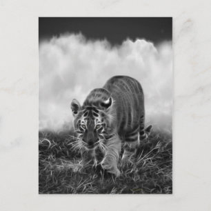 Postal El tigre bebé acosando en blanco y negro