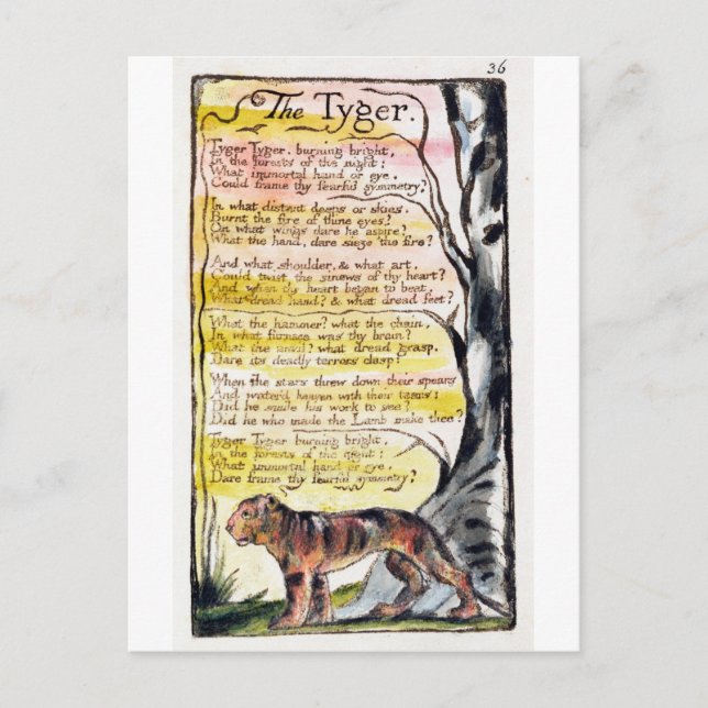 Postal "El tigre", plato 36 (Bentley 42) (Anverso)