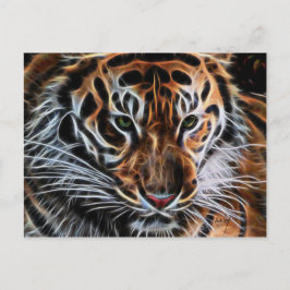 Postal El tigre reflexivo