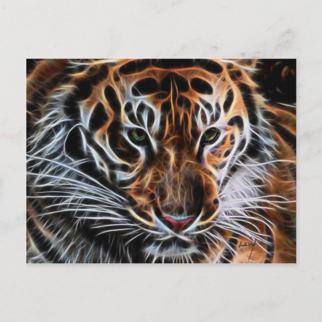 Postal El tigre reflexivo (Anverso)