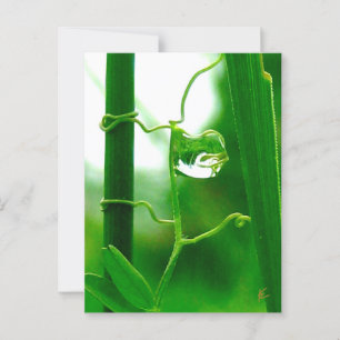 Postal El tonto, tarot en la meditación de la naturaleza