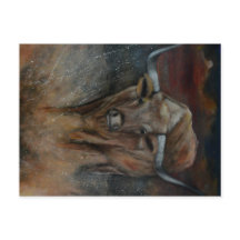 El toro longhorn de Texas