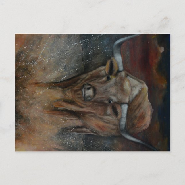 Postal El toro longhorn de Texas (Anverso)