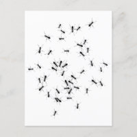 El trabajo en equipo hace el trabajo de sueño