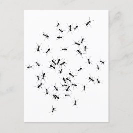 Postal El trabajo en equipo hace el trabajo de sueño