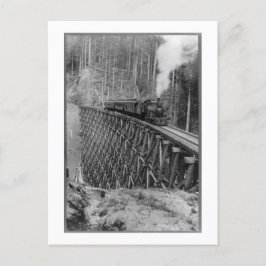 Postal El Trestle De Pelo Único Más Alto Del Mundo