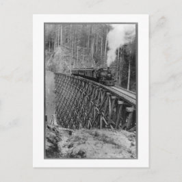 Postal El Trestle De Pelo Único Más Alto Del Mundo