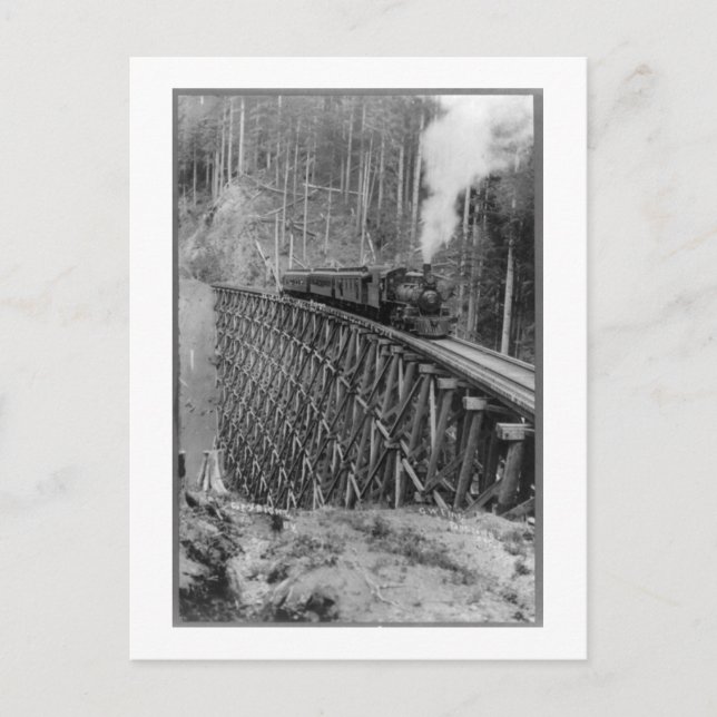 Postal El Trestle De Pelo Único Más Alto Del Mundo (Anverso)