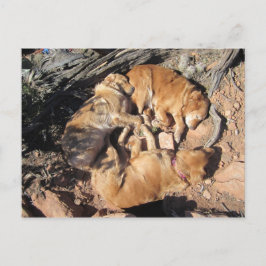 Postal El triángulo dorado