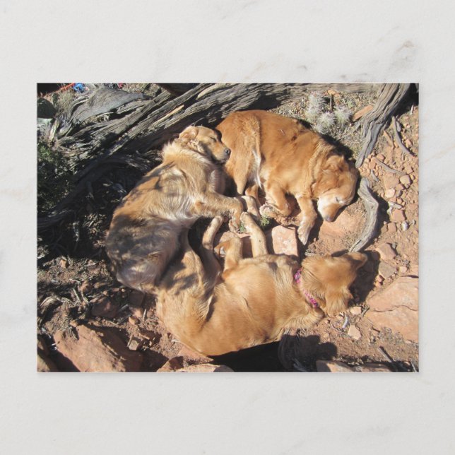 Postal El triángulo dorado (Anverso)