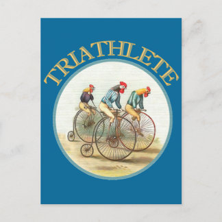Postal El triatlón de pollos