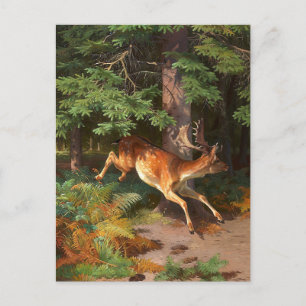 Postal El Venado Rojo En La Postcarta Forestal