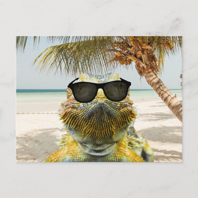 Postal El verano está llegando (Anverso)