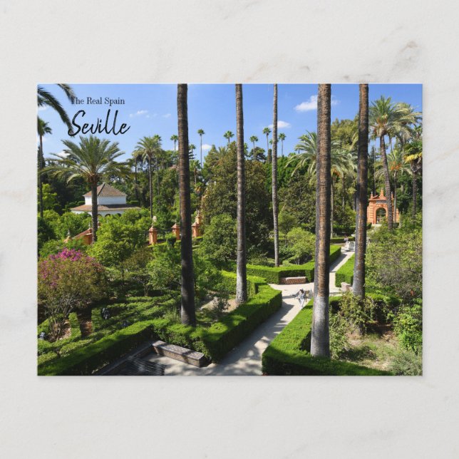 Postal El verdadero España- Sevilla (Anverso)