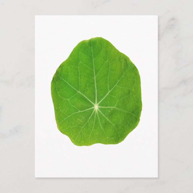 Postal El verde de la ayuda, ahorra el planeta (Anverso)