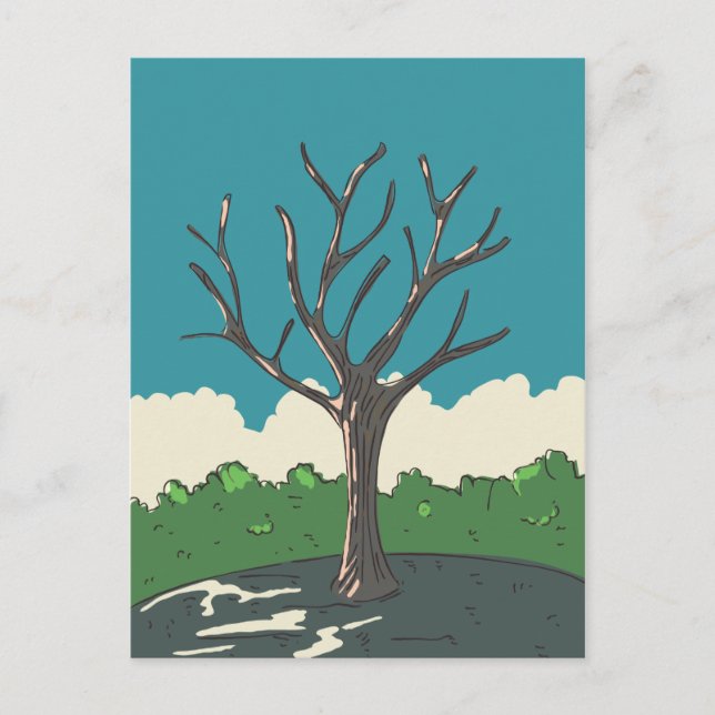 Postal El Viejo Árbol (Anverso)