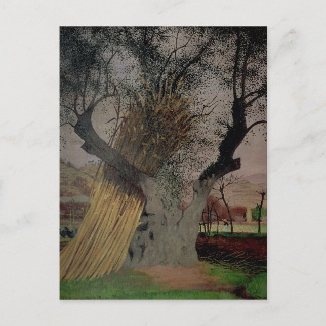 Postal El viejo olivo, 1922 (Anverso)