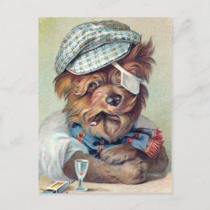 Postal "El viejo Rascal"