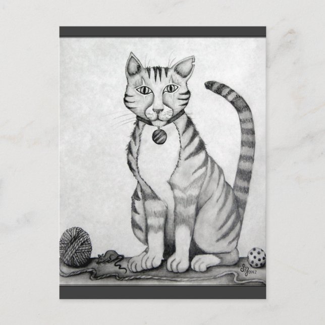 Postal El viejo tigre TomCat (Anverso)