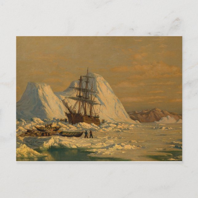 Postal El viejo William Bedford un incidente de caza de b (Anverso)