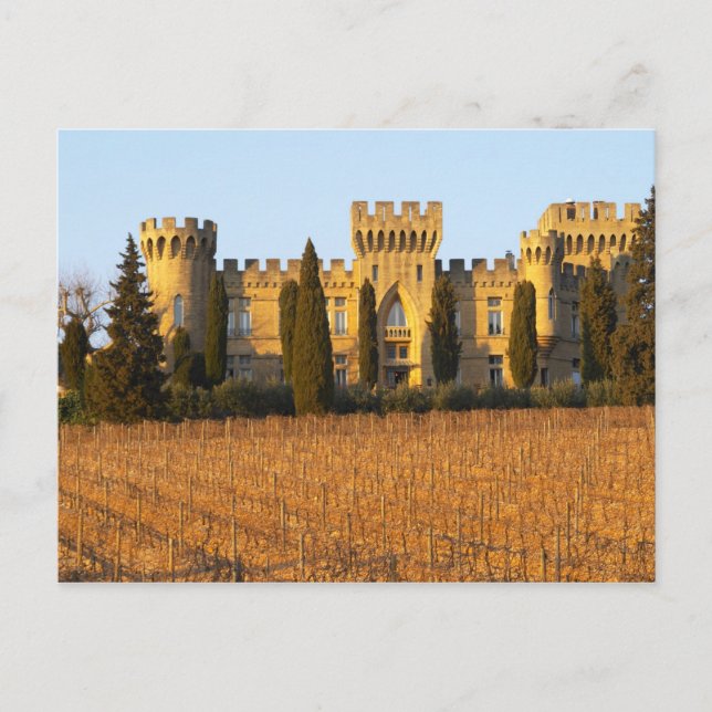 Postal El viñedo con las viñas de syrah y el castillo (Anverso)