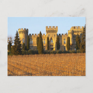 Postal El viñedo con las viñas de syrah y el castillo