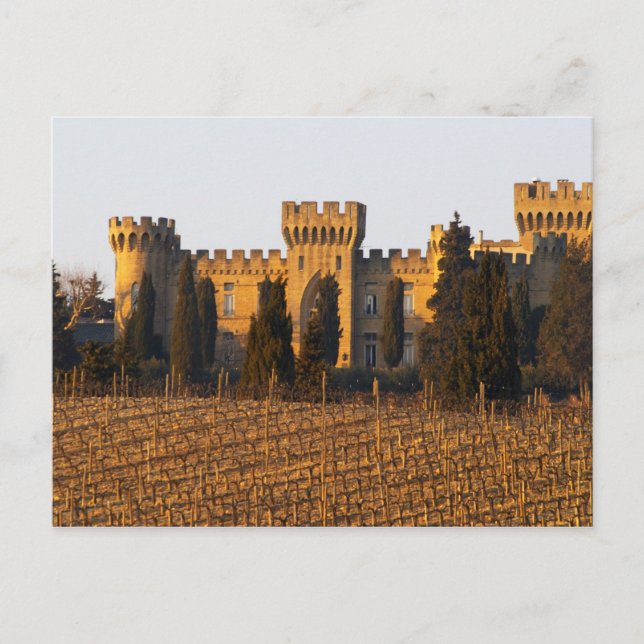 Postal El viñedo con vides syrah y el castillo (Anverso)