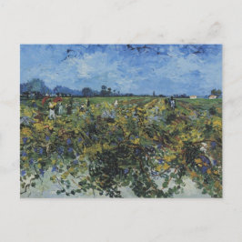 Postal El viñedo verde, Vincent Van Gogh
