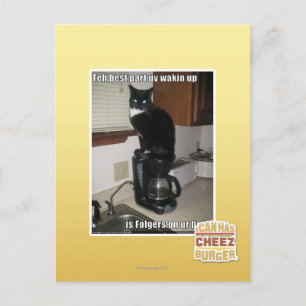 Postal el wakin ultravioleta de la mejor parte para