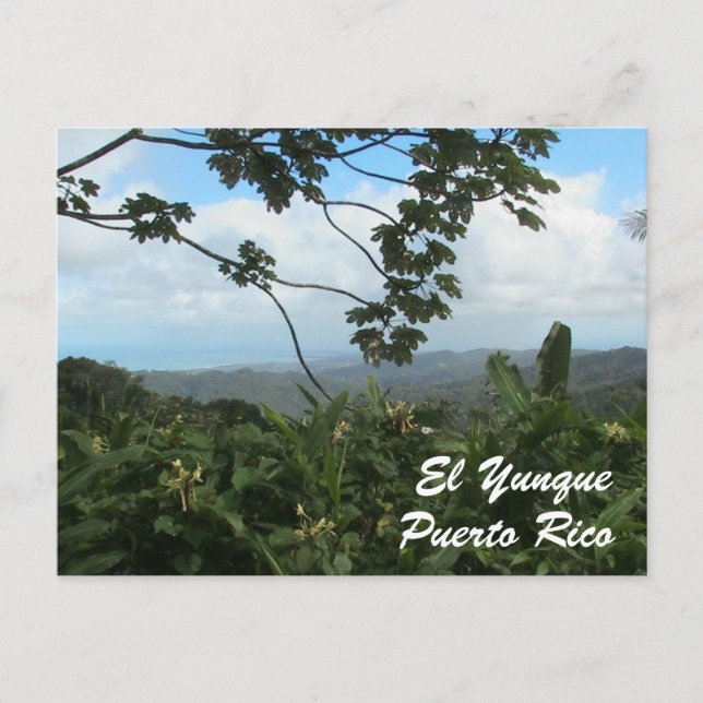 Postal EL Yunque, Puerto Rico (Anverso)