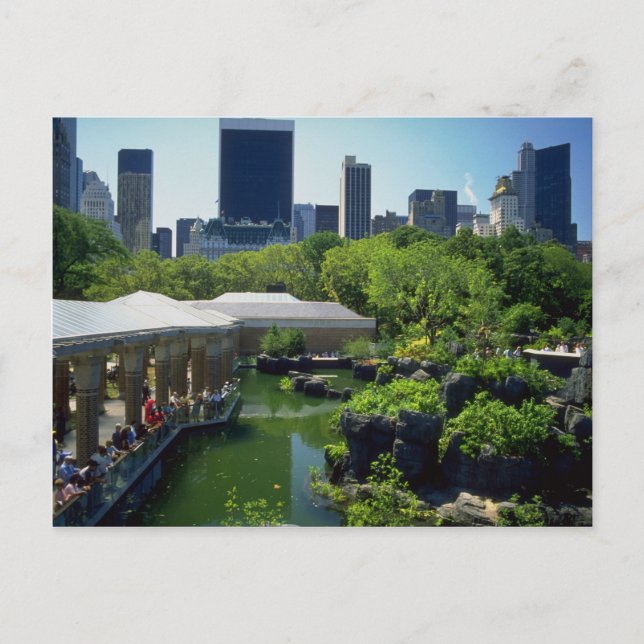 Postal El zoo en Central Park, Nueva York, EE.UU. (Anverso)