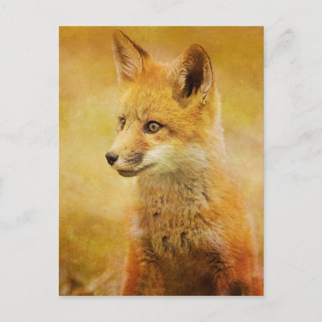 Postal El zorro en la madera (Anverso)