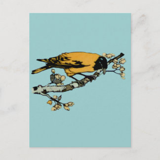 Postal Elaboración del Ilustracion de pájaro de color ama
