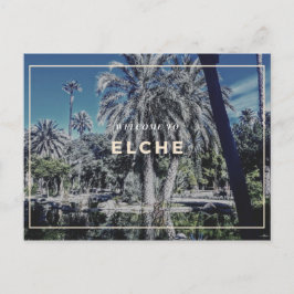 Postal Elche Postcard