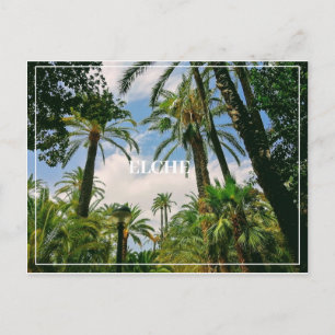 Postal Elche Postcard