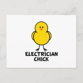 Postal Electrician Chick