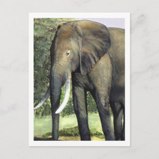 Postal elefante