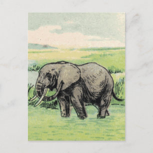 Postal Elefante