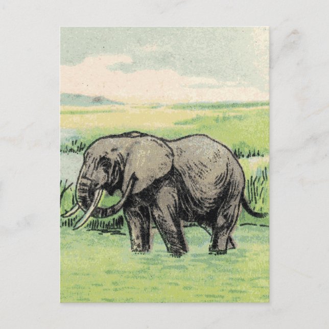 Postal Elefante (Anverso)
