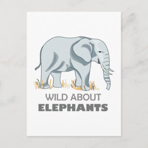 POSTAL ELEFANTE