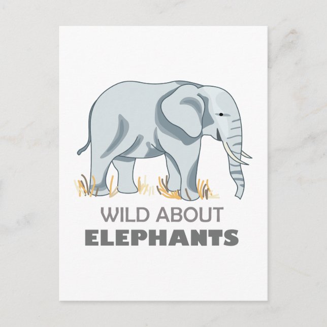 POSTAL ELEFANTE (Anverso)