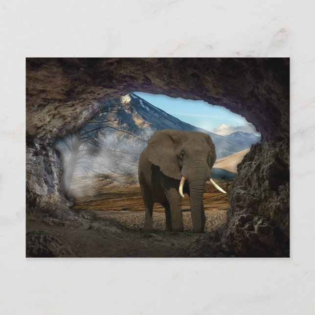Postal Elefante (Anverso)