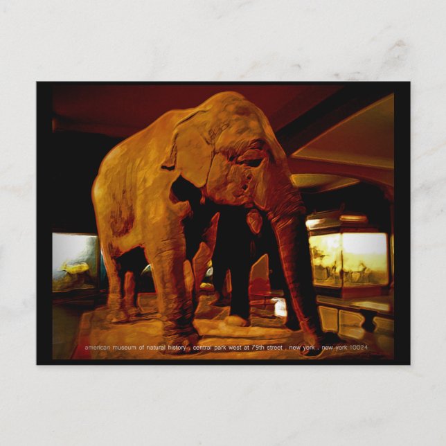 Postal Elefante (Anverso)