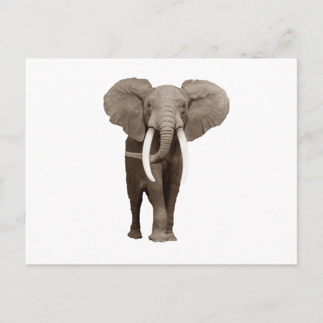 Postal Elefante (Anverso)