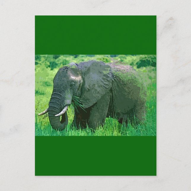 Postal Elefante (Anverso)